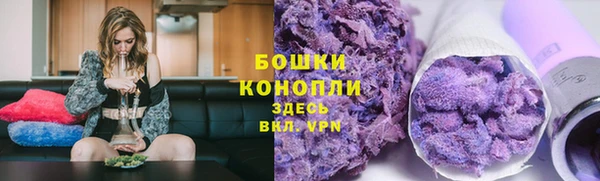 кокс Арсеньев