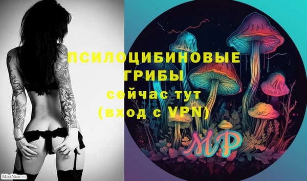 кокс Арсеньев